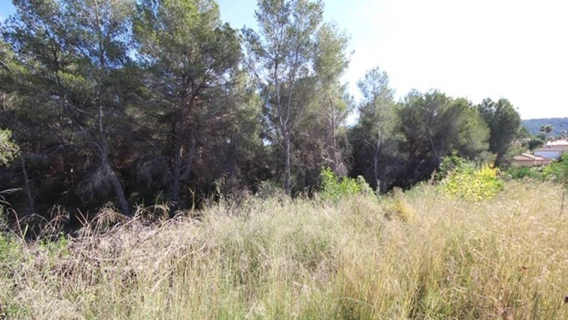 Sale - Land - Jávea - Xàbia - Pinosol