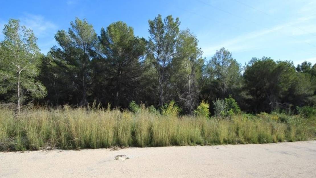 Sale - Land - Jávea - Xàbia - Pinosol