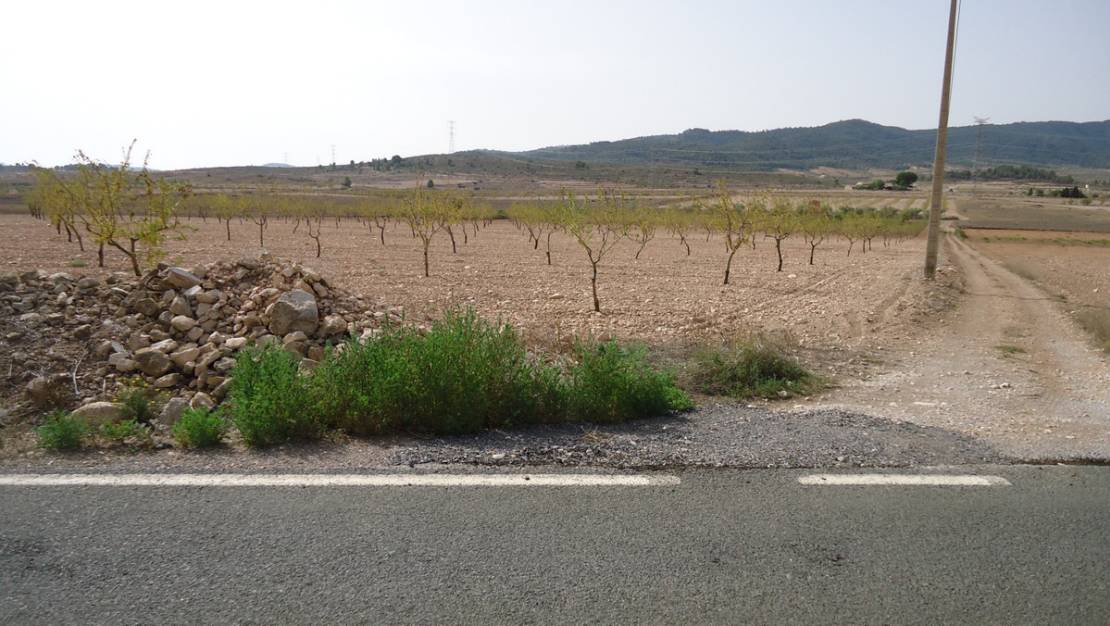 Sale - Land - Jumilla - Cañada del Trigo