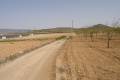 Sale - Land - Jumilla - Cañada del Trigo