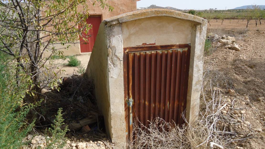 Sale - Land - Jumilla - Cañada del Trigo