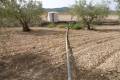 Sale - Land - Jumilla - Cañada del Trigo