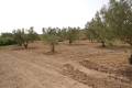 Sale - Land - Jumilla - Cañada del Trigo