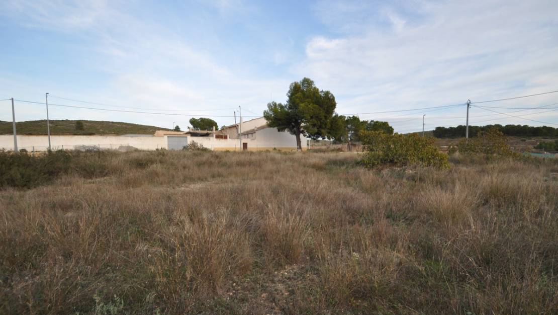 Sale - Land - Jumilla - Cañada del Trigo