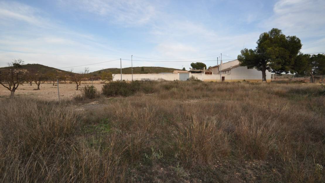 Sale - Land - Jumilla - Cañada del Trigo