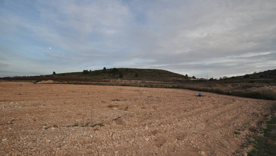 Sale - Land - Jumilla - Cañada del Trigo