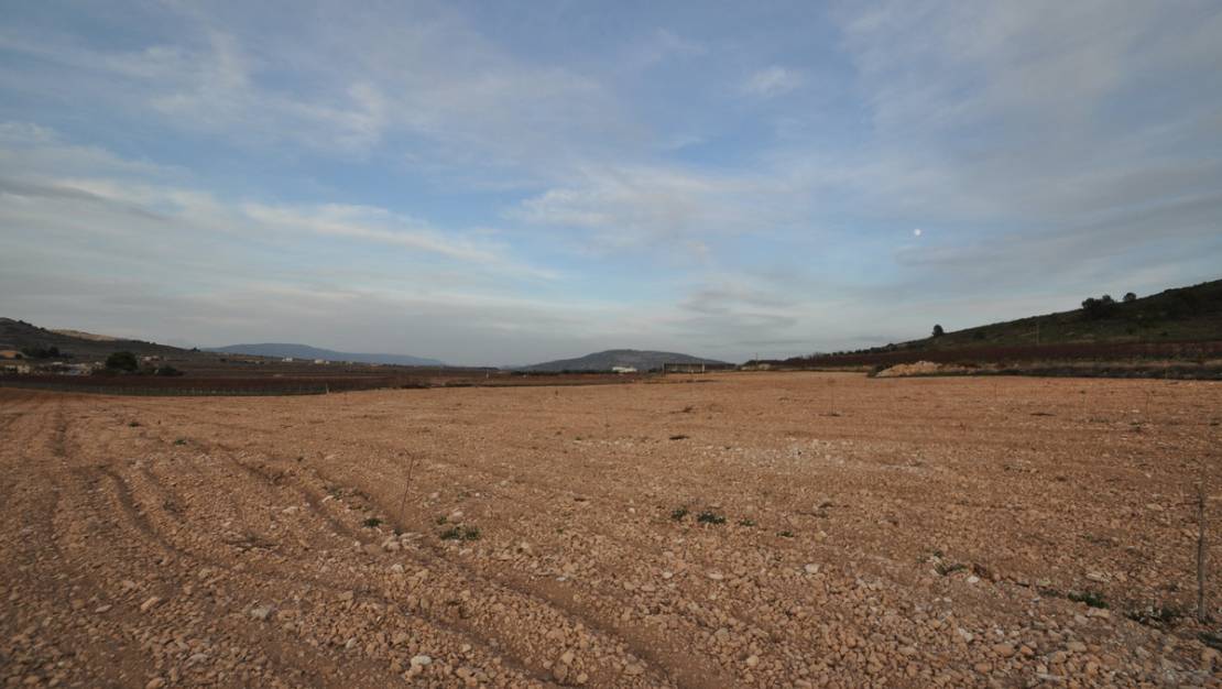 Sale - Land - Jumilla - Cañada del Trigo