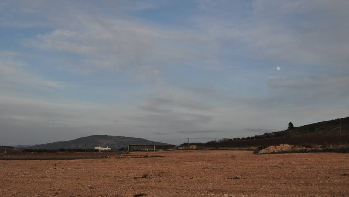 Sale - Land - Jumilla - Cañada del Trigo