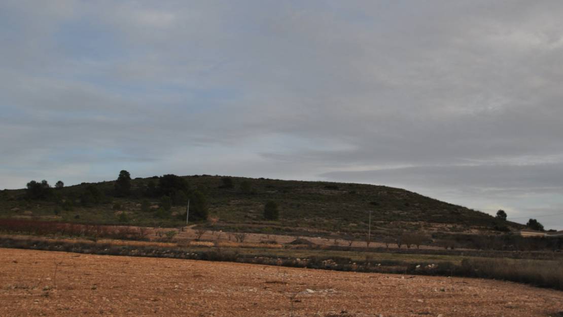 Sale - Land - Jumilla - Cañada del Trigo