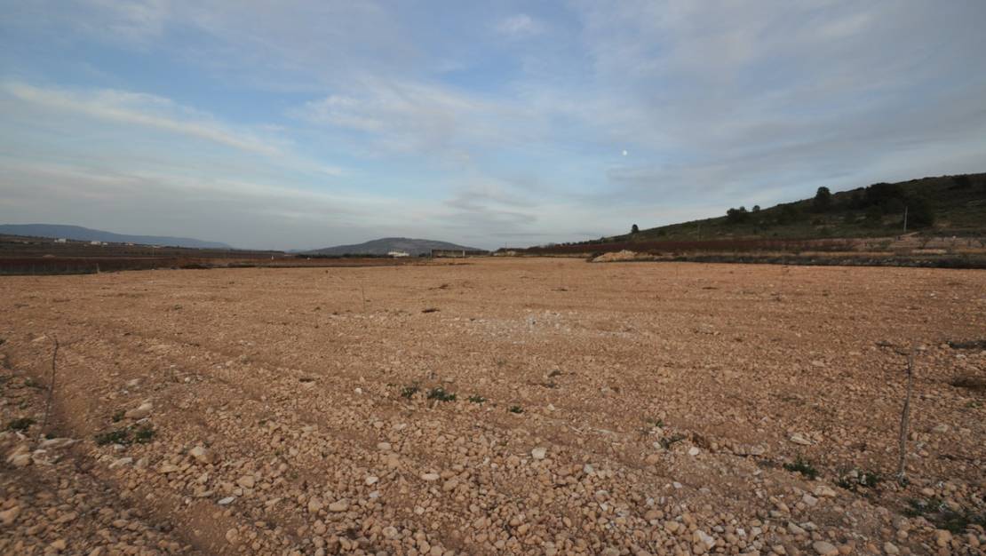Sale - Land - Jumilla - Cañada del Trigo
