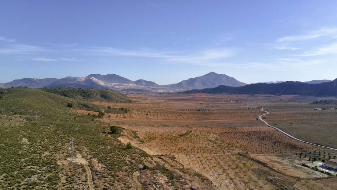 Sale - Land - Jumilla - Cañada del Trigo