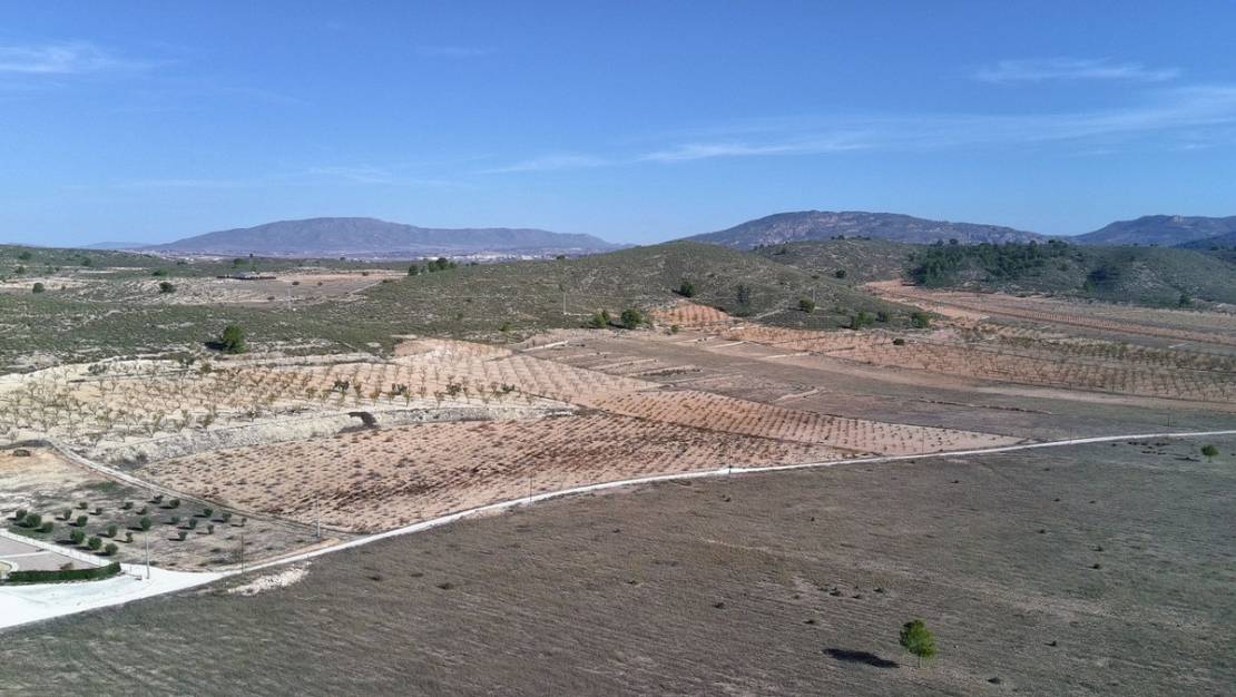 Sale - Land - Jumilla - Cañada del Trigo