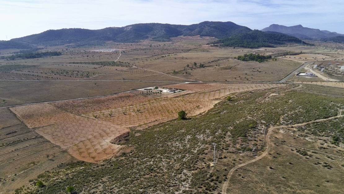 Sale - Land - Jumilla - Cañada del Trigo