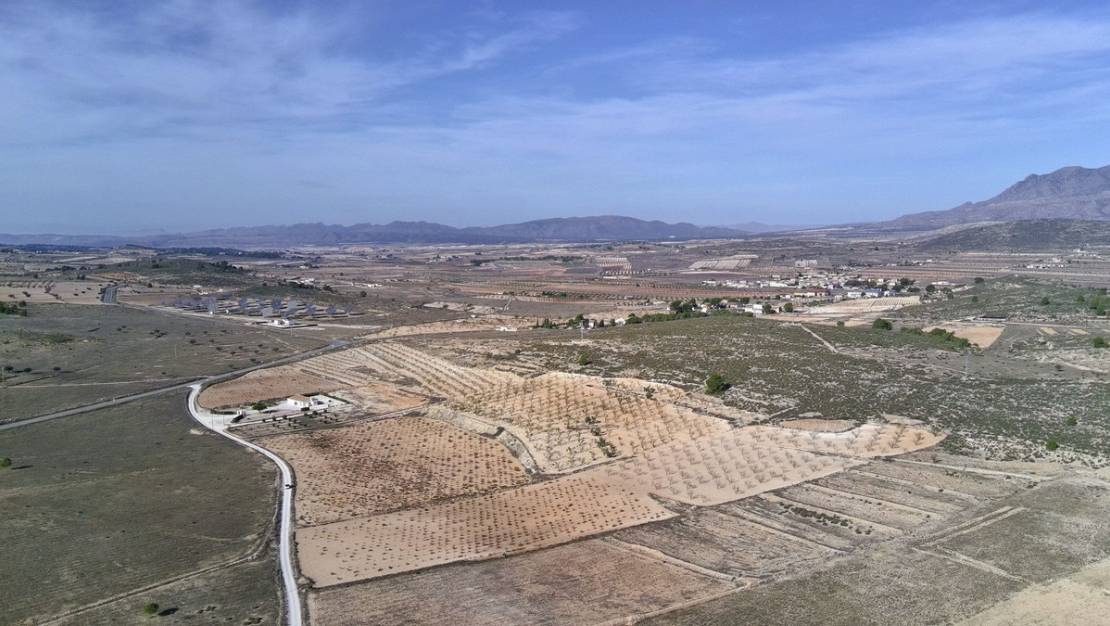 Sale - Land - Jumilla - Cañada del Trigo