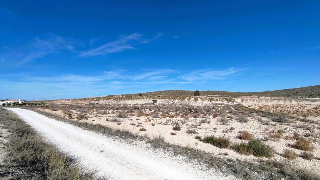 Sale - Land - Jumilla - Cañada del Trigo