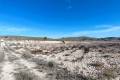 Sale - Land - Jumilla - Cañada del Trigo