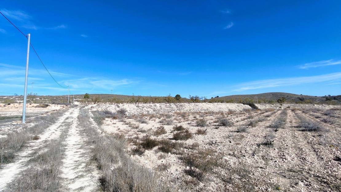Sale - Land - Jumilla - Cañada del Trigo