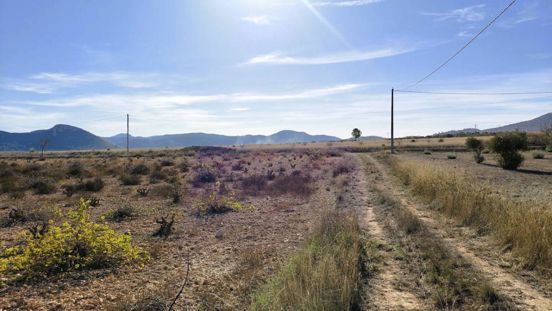 Sale - Land - Jumilla - Cañada del Trigo