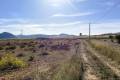 Sale - Land - Jumilla - Cañada del Trigo