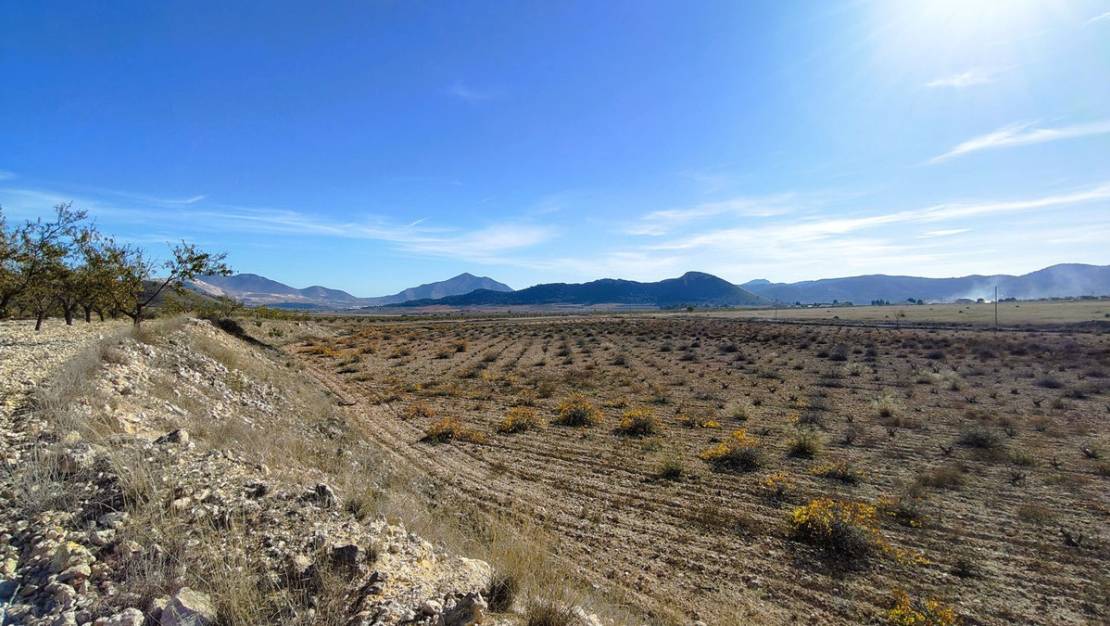 Sale - Land - Jumilla - Cañada del Trigo
