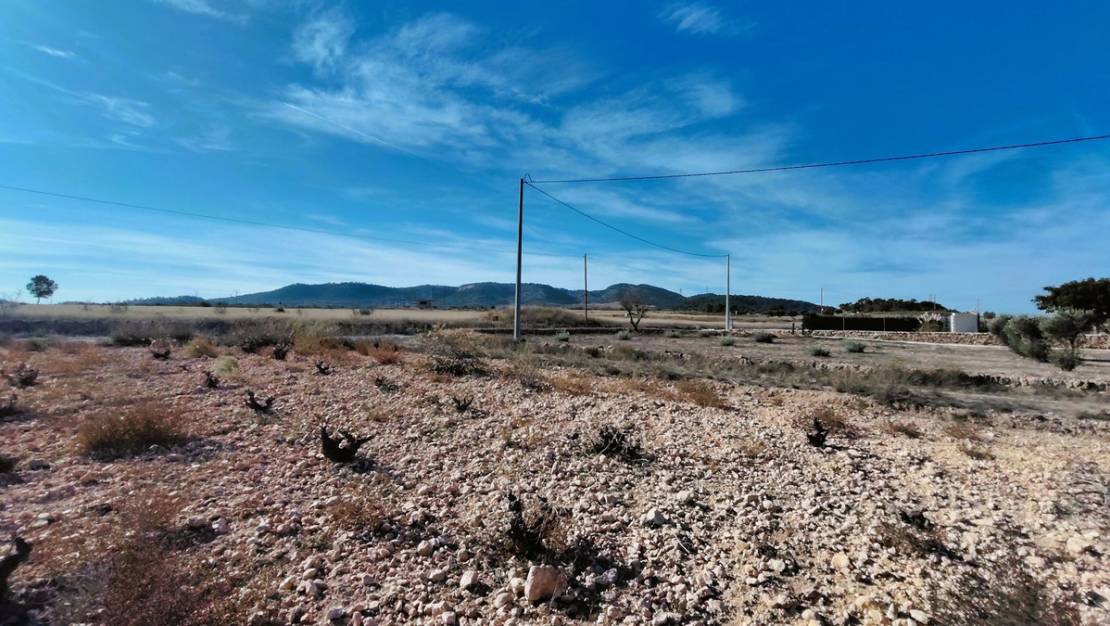 Sale - Land - Jumilla - Cañada del Trigo