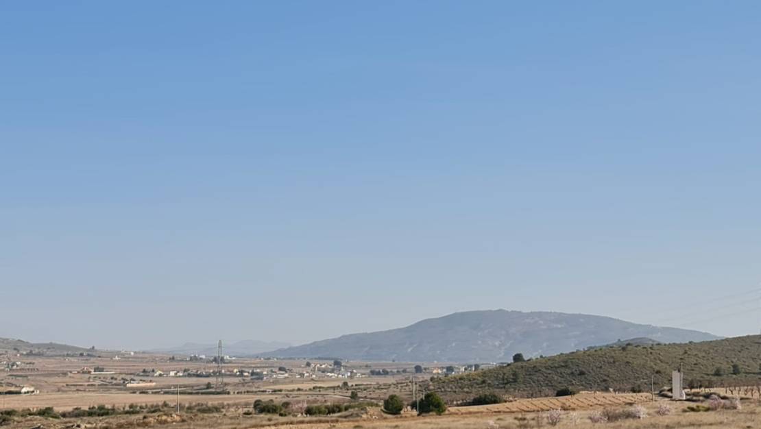 Sale - Land - Jumilla - Jumilla Centro