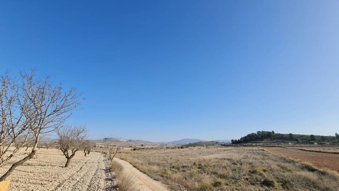 Sale - Land - Jumilla - Jumilla Centro