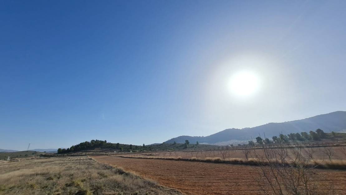 Sale - Land - Jumilla - Jumilla Centro