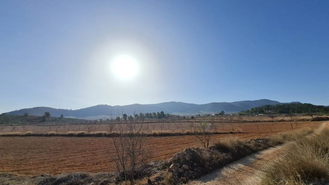 Sale - Land - Jumilla - Jumilla Centro