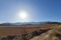 Sale - Land - Jumilla - Jumilla Centro