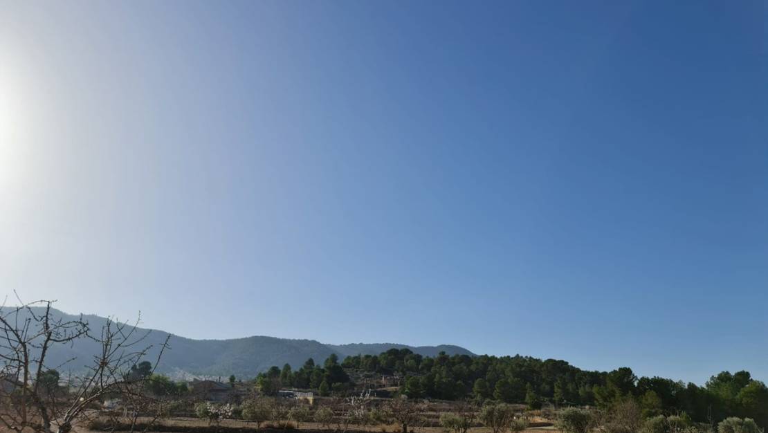 Sale - Land - Jumilla - Jumilla Centro