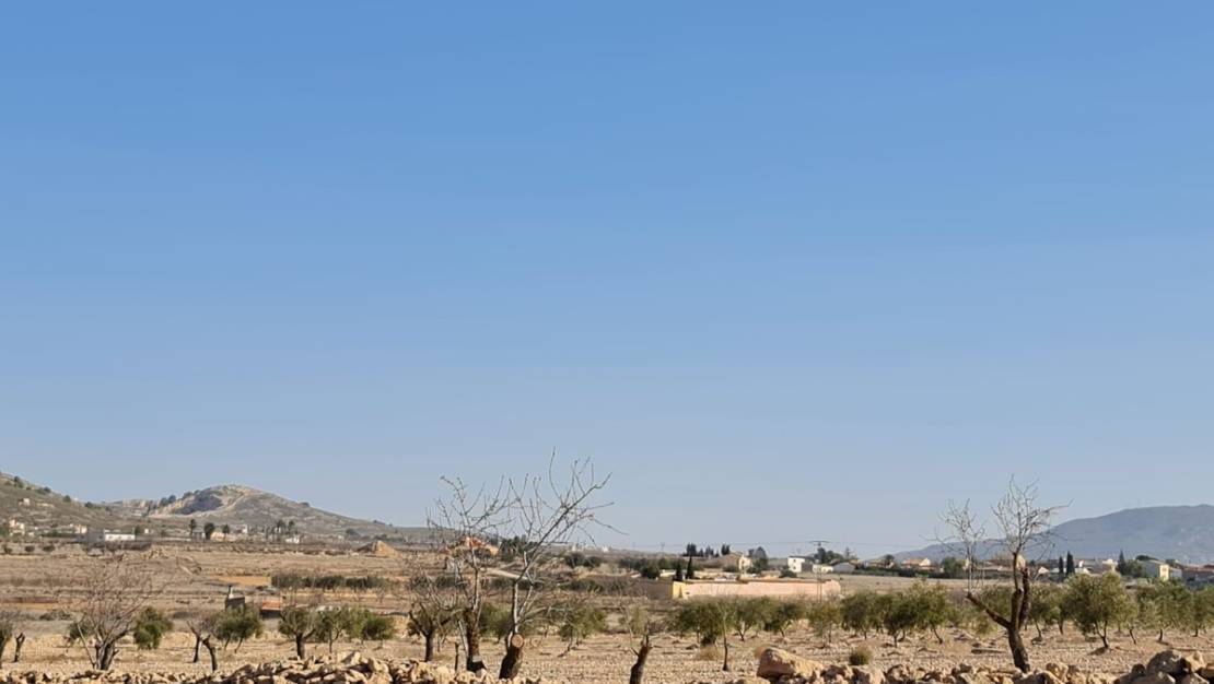 Sale - Land - Jumilla - Jumilla Centro