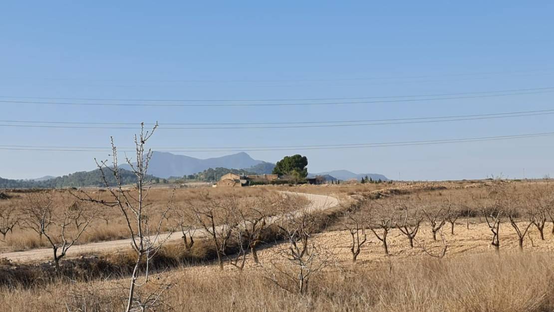 Sale - Land - Jumilla - Jumilla Centro
