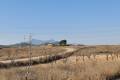 Sale - Land - Jumilla - Jumilla Centro