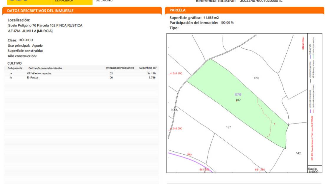 Sale - Land - Jumilla - Jumilla Centro