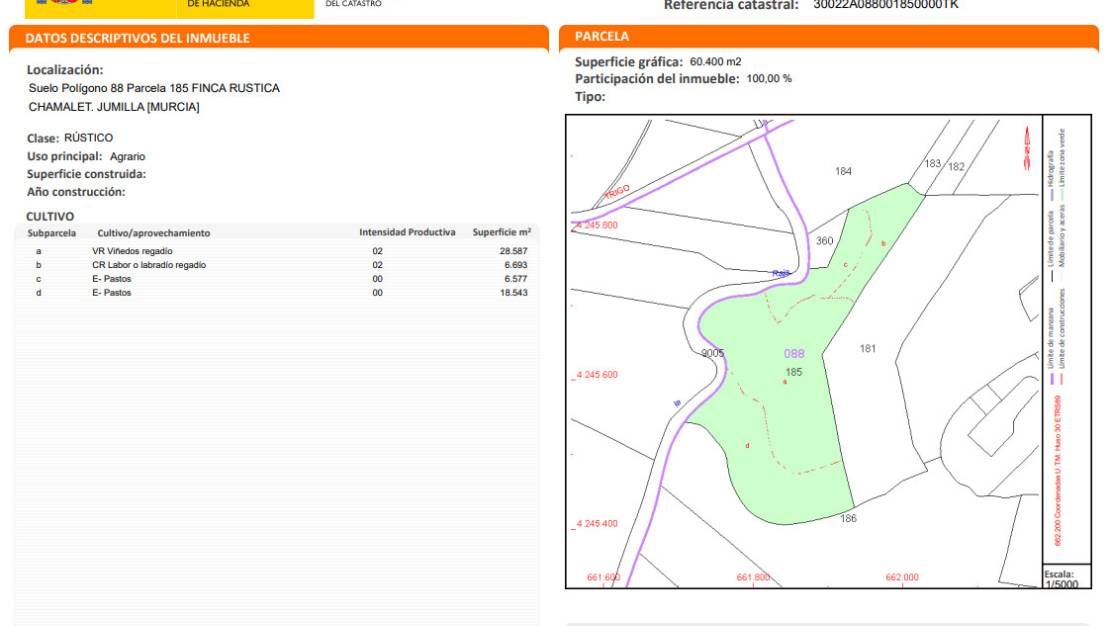 Sale - Land - Jumilla - Jumilla Centro