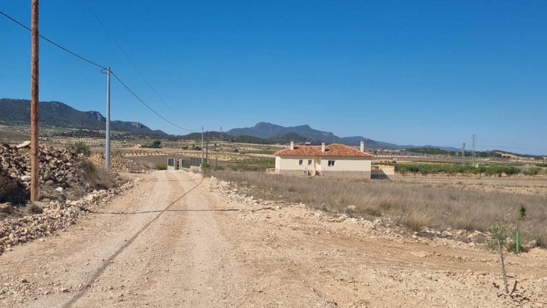Sale - Land - Jumilla - Jumilla Centro