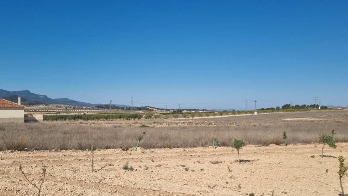 Sale - Land - Jumilla - Jumilla Centro