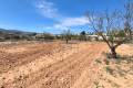 Sale - Land - Jumilla - Jumilla Centro