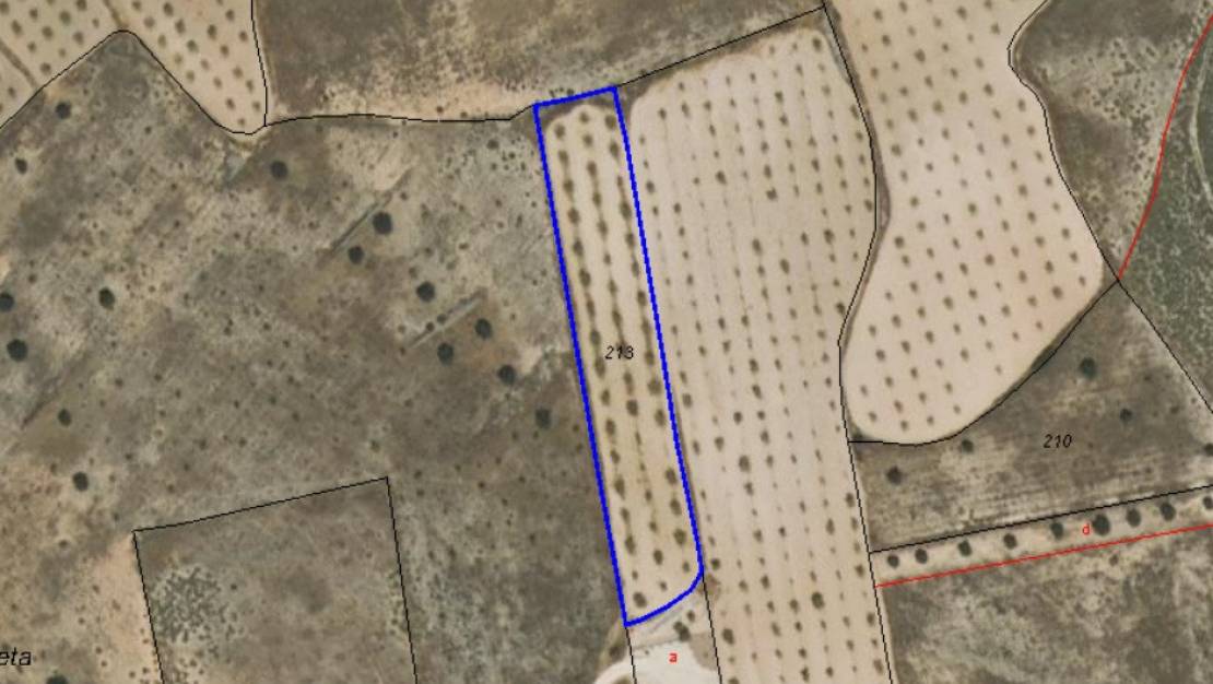 Sale - Land - Jumilla - Jumilla Centro