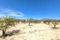 Sale - Land - Jumilla - Jumilla Centro
