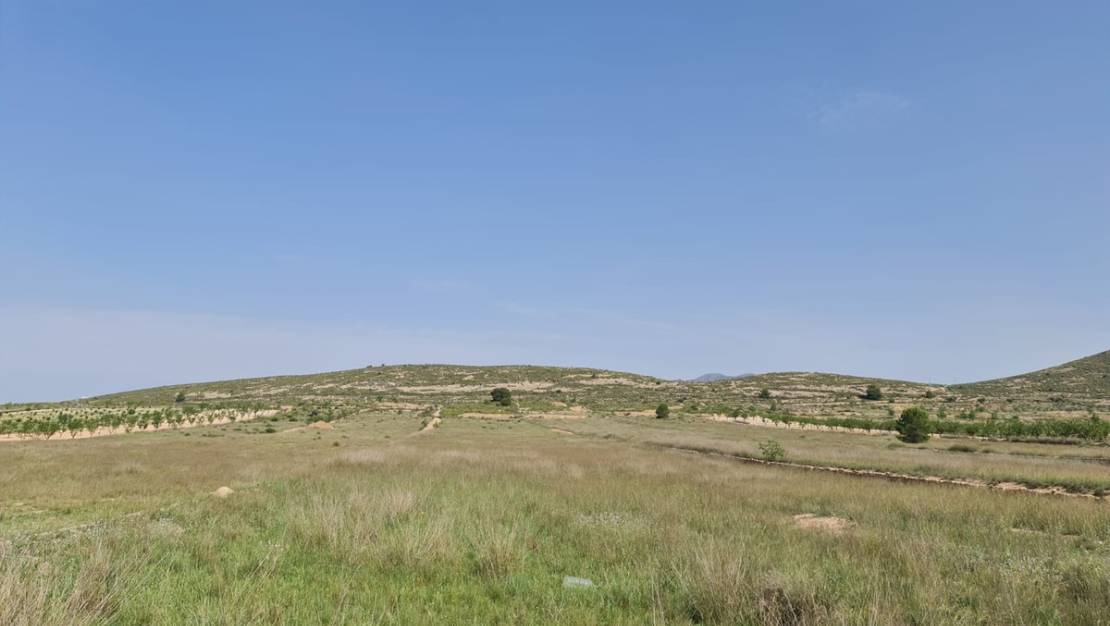 Sale - Land - Jumilla - Jumilla Centro