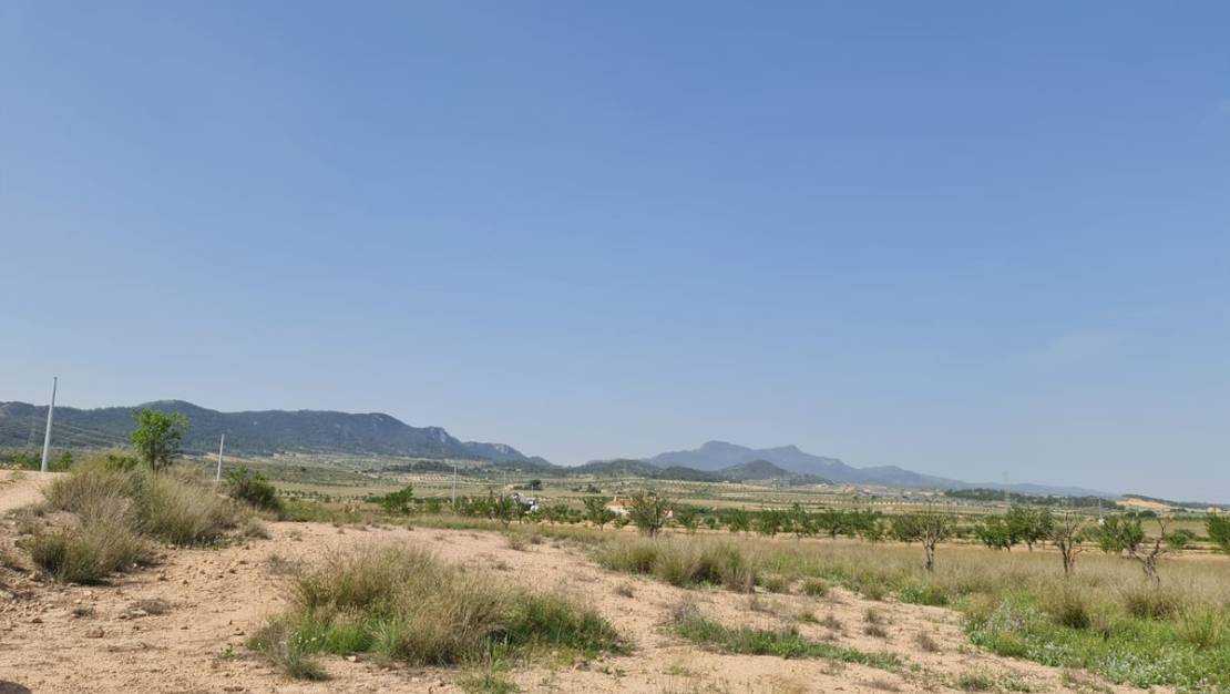 Sale - Land - Jumilla - Jumilla Centro