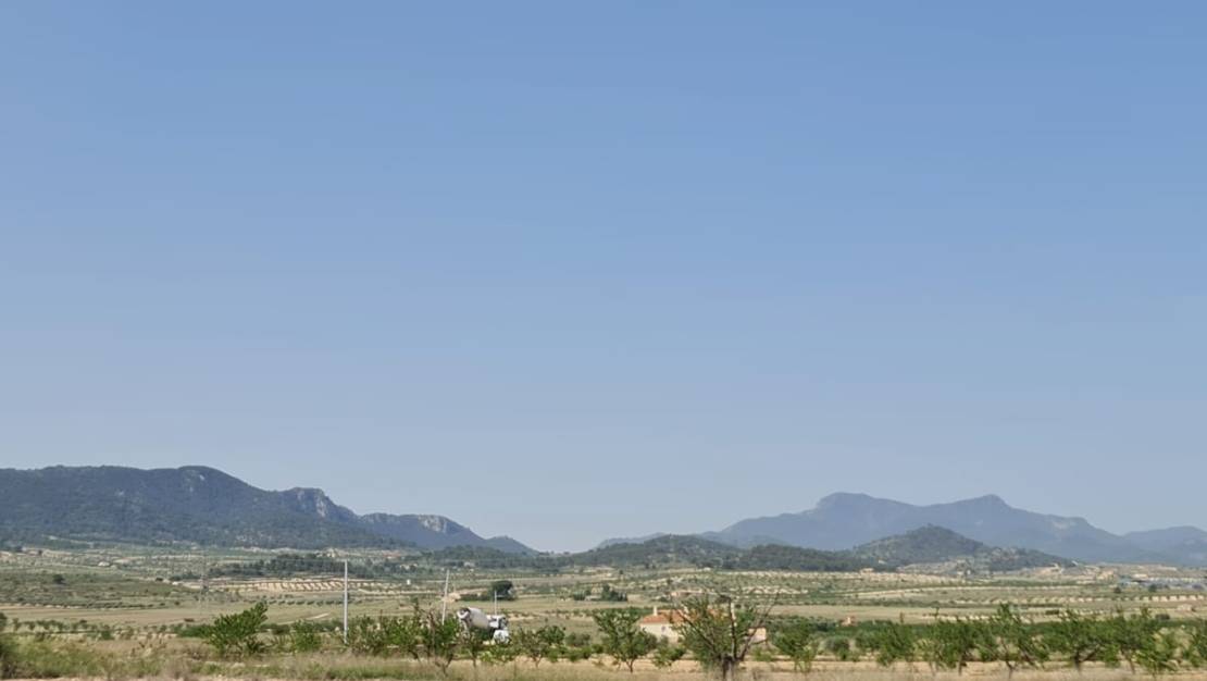 Sale - Land - Jumilla - Jumilla Centro