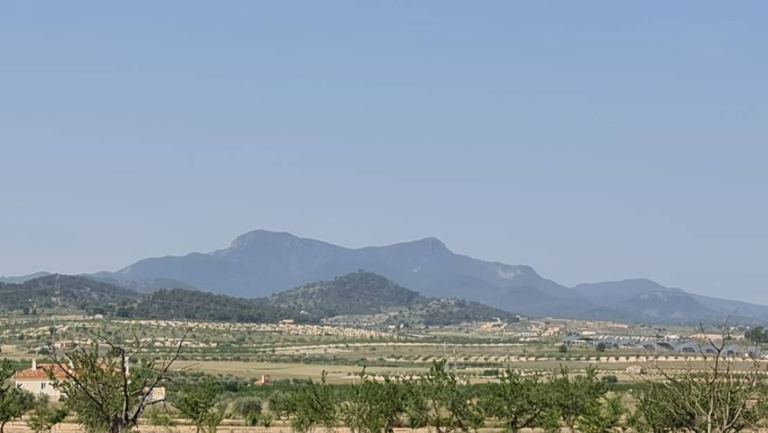 Sale - Land - Jumilla - Jumilla Centro