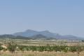 Sale - Land - Jumilla - Jumilla Centro