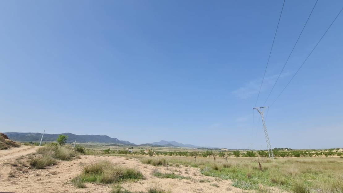 Sale - Land - Jumilla - Jumilla Centro