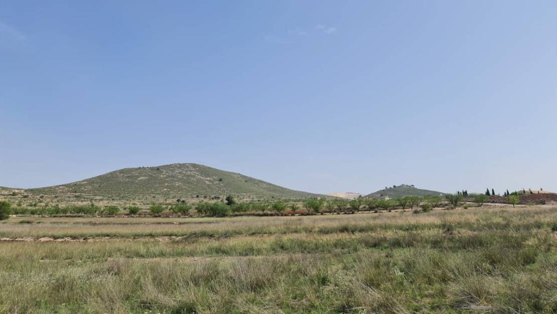 Sale - Land - Jumilla - Jumilla Centro