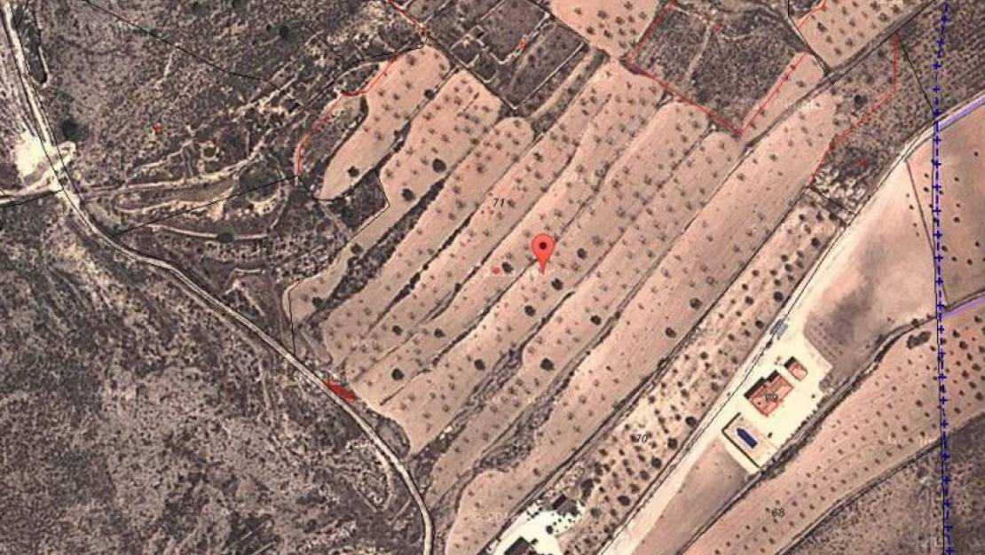 Sale - Land - Jumilla - Jumilla Centro