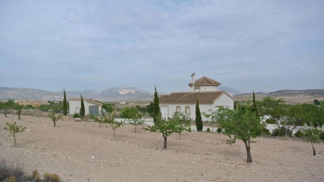 Sale - Land - Jumilla - Jumilla Centro